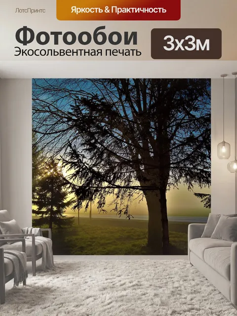 Фотообои Утро