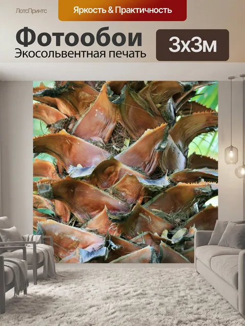 Фотообои пальма ствола