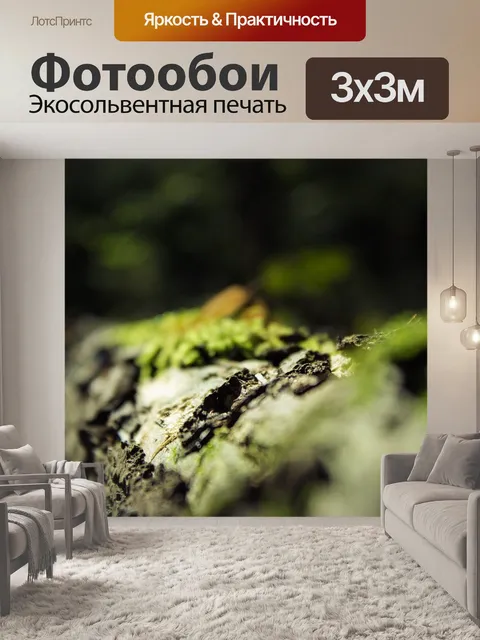 Фотообои Макрос