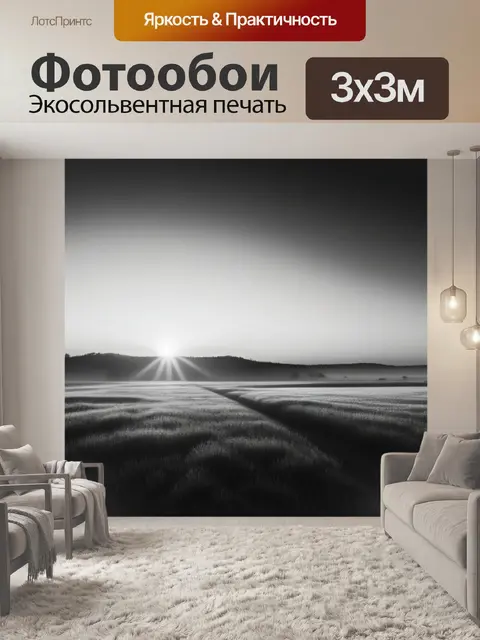 Фотообои фото пейзаж с закатом чернобелый