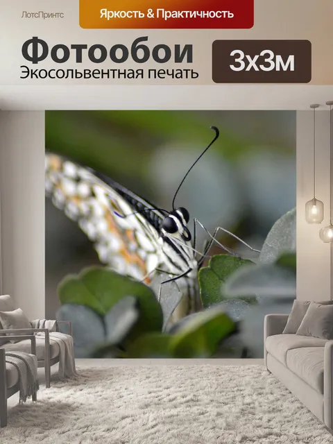Фотообои Бабочка