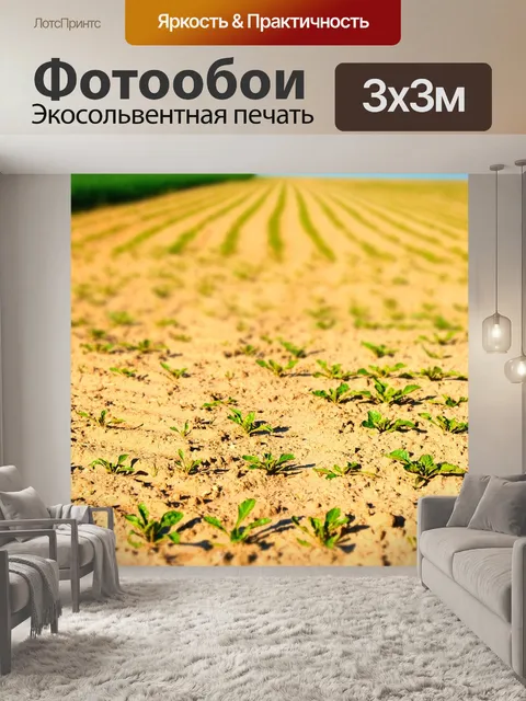 Фотообои Поля