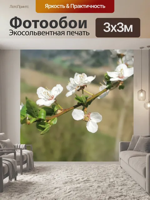 Фотообои Цветущая ветка