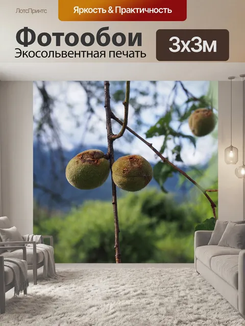 Фотообои Пейзаж