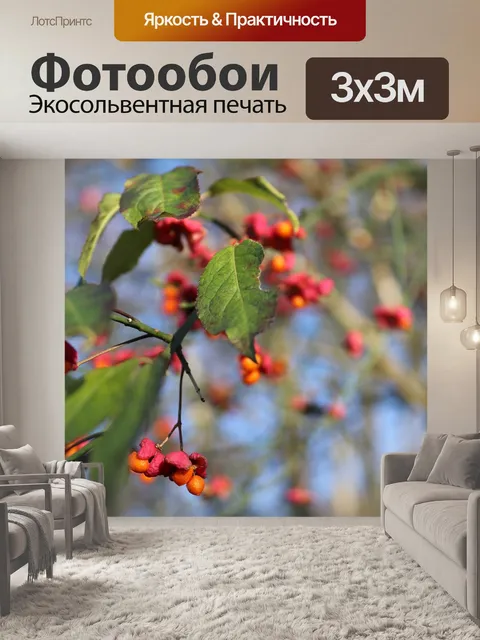 Фотообои Ягода