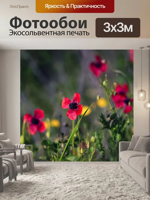 Фотообои Маки