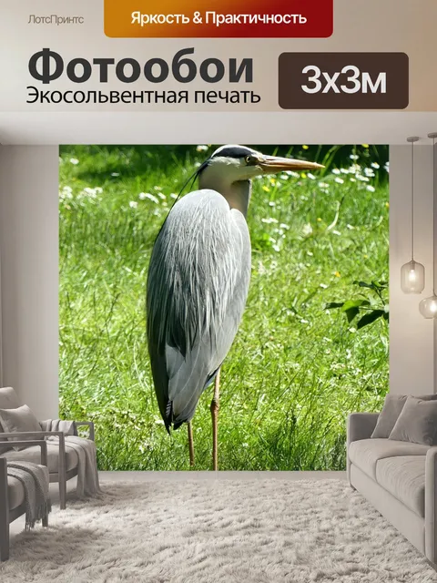 Фотообои Птица
