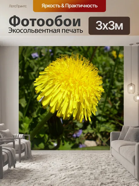 Фотообои Одуванчик