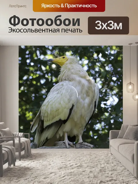 Фотообои Птицы