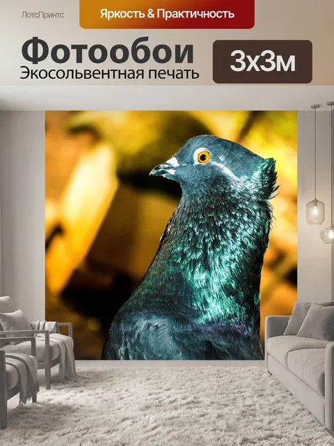 Фотообои Птица