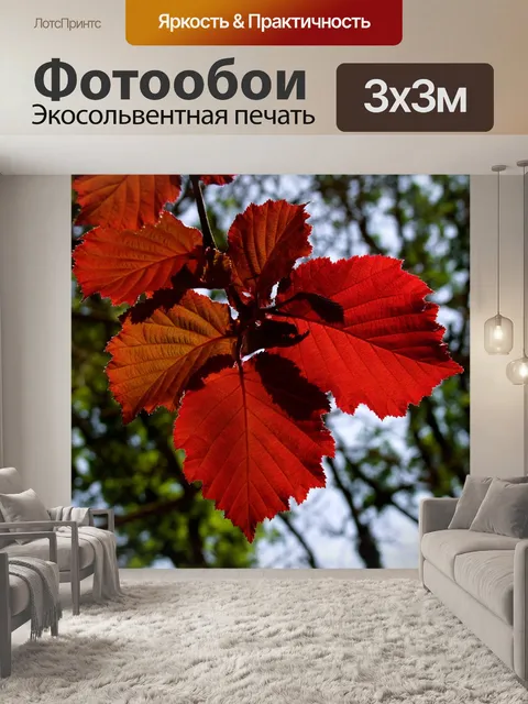 Фотообои Красочные листья
