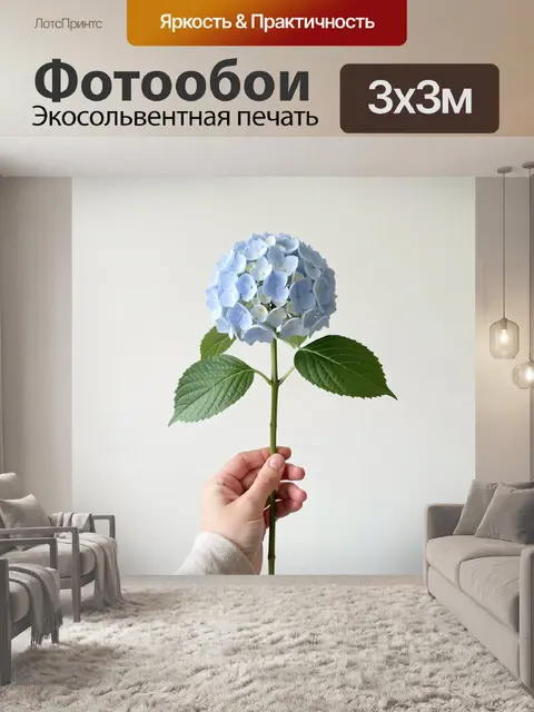 Фотообои Голубая гортензия в руке