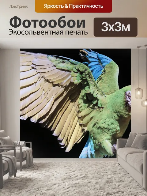Фотообои Птица