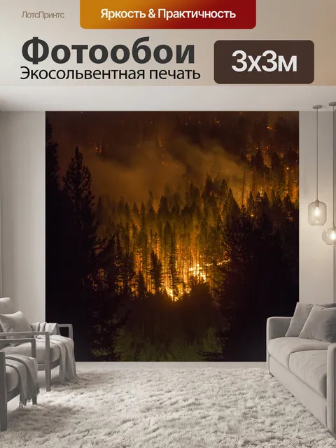 Фотообои Лесной пожар