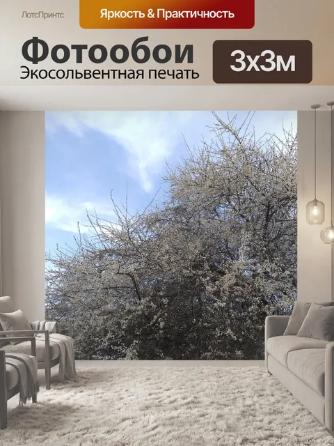 Фотообои Весеннее цветение боярышника