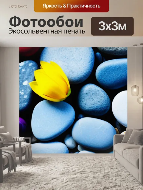 Фотообои тюльпан среди камней