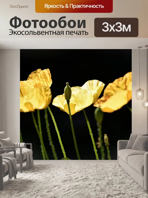 Фотообои Жёлтый мак