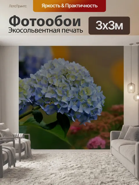 Фотообои гортензия в красочном саду