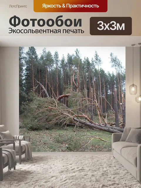 Фотообои Дерево