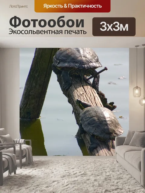 Фотообои Воды черепаха