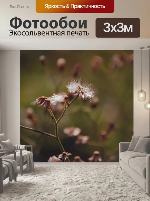 Фотообои Цветы