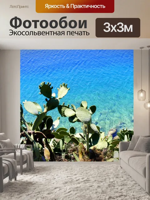 Фотообои Кактус
