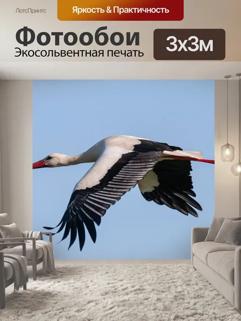Фотообои Аист