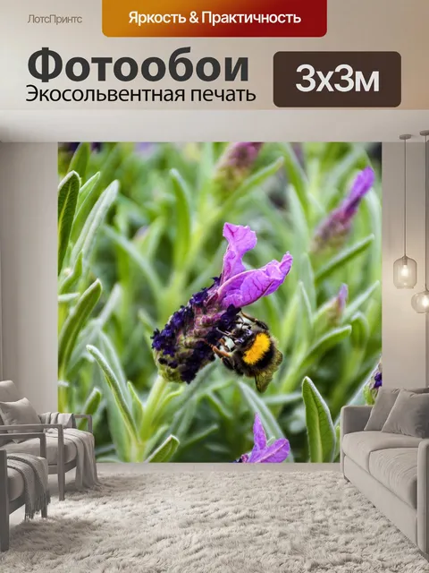 Фотообои Цветы