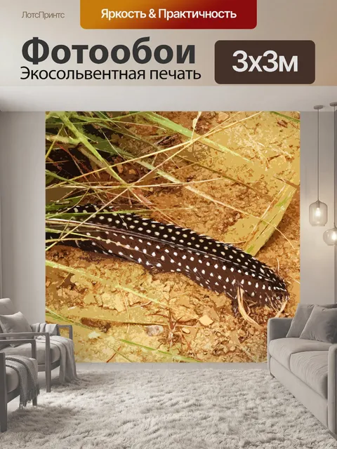Фотообои реферат из цесарки