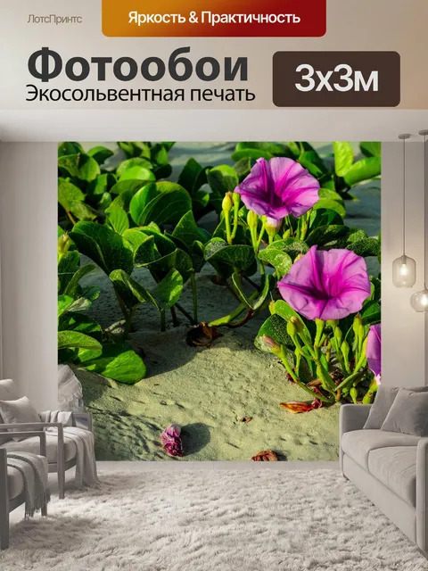 Фотообои Пляжная утренняя слава