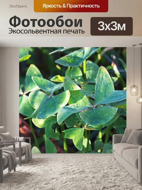 Фотообои старые листья оксалиса в саду
