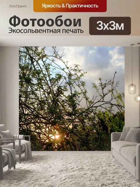 Фотообои Розовый куст на фоне заката