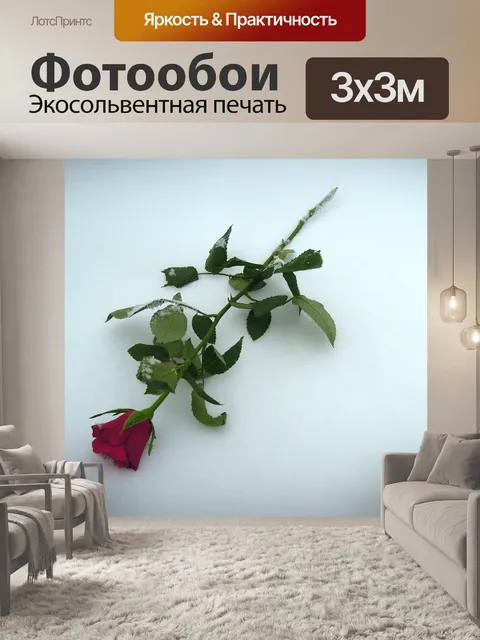 Фотообои Роза