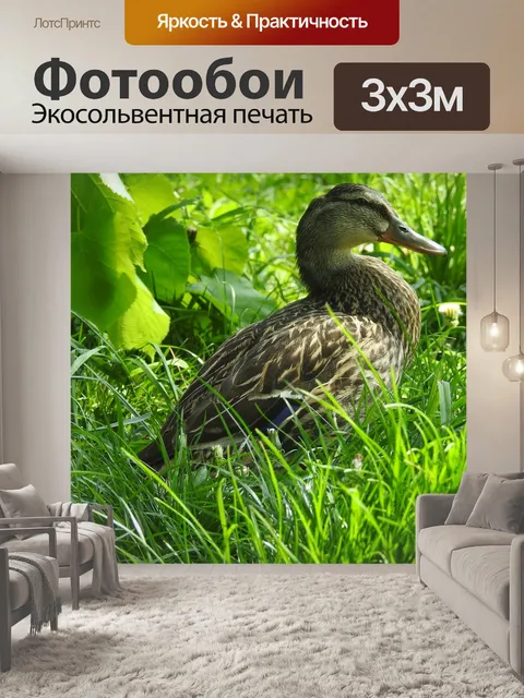 Фотообои Природа