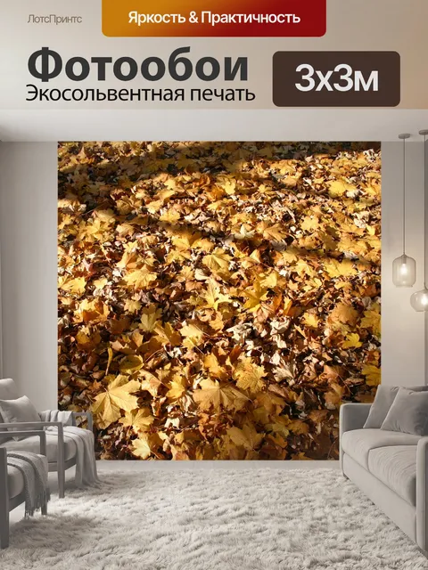 Фотообои Парк