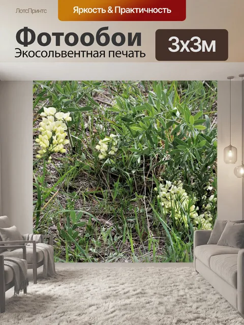 Фотообои Кремовый дикий индиго полевые цветы