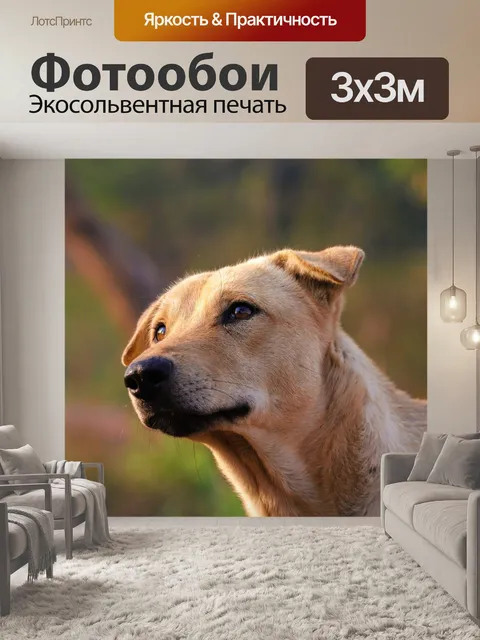 Фотообои Лес