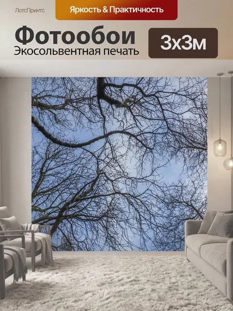 Фотообои Небеса