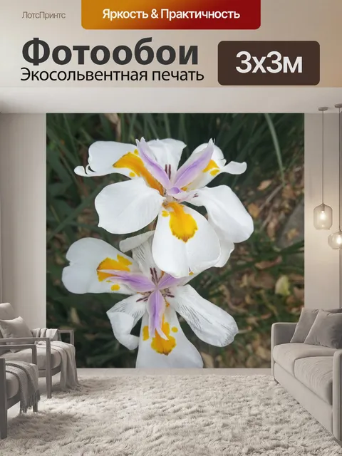 Фотообои Цветок