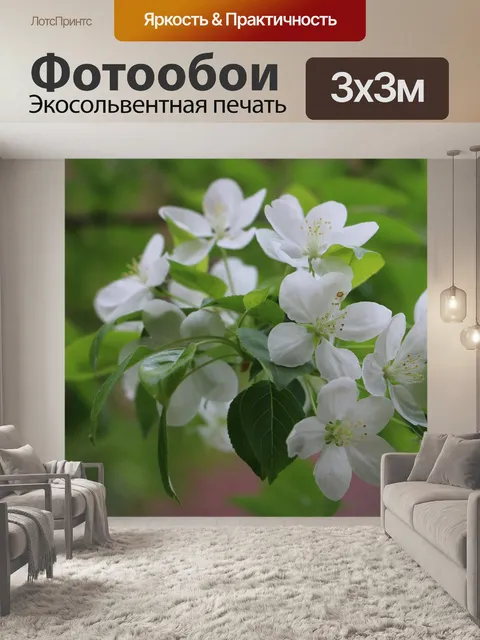 Фотообои Цветы