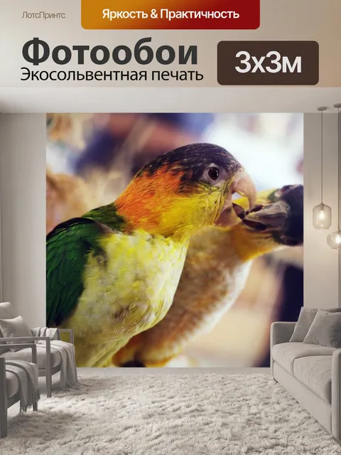 Фотообои Неразлучник Попугаи