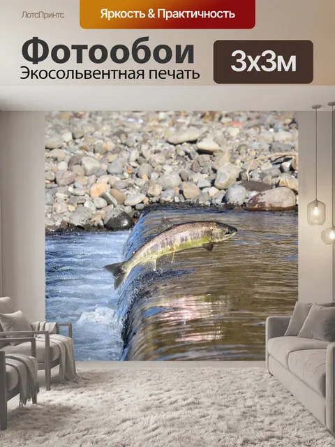 Фотообои Животное