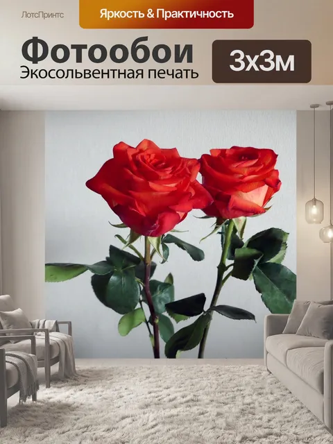 Фотообои Розы
