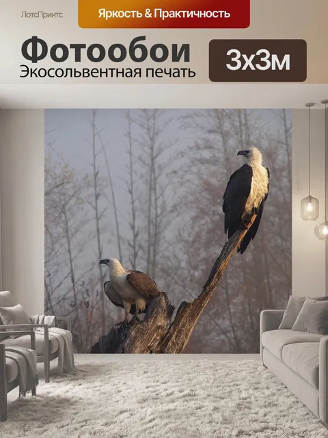 Фотообои Птицы