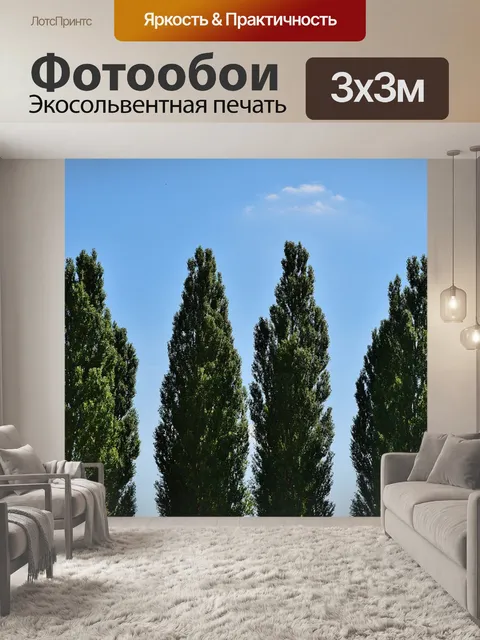 Фотообои Деревья
