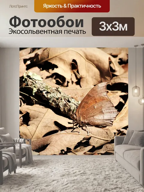 Фотообои Козлиная листва крыла бабочки вентральна