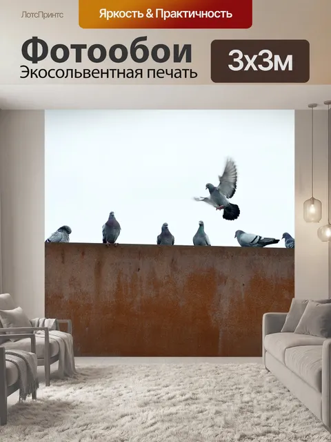 Фотообои Голуби