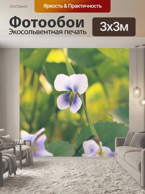 Фотообои Цветы