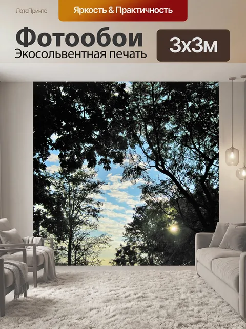 Фотообои Восход солнца