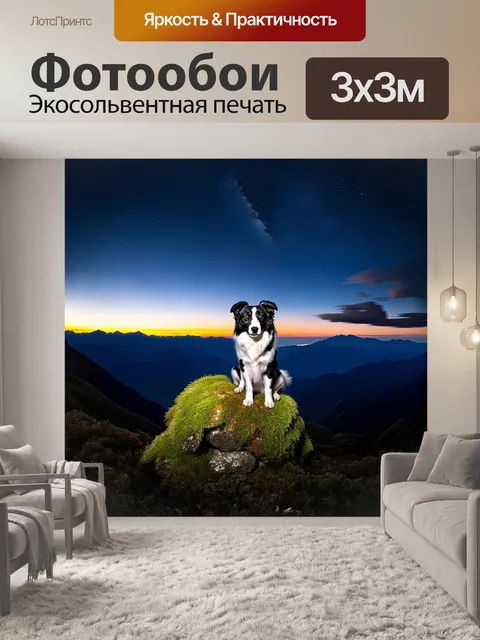 Фотообои на пике величественной горы, бордер-колли сидит на мшистом камне, изучая бескрайние просторы под собой
